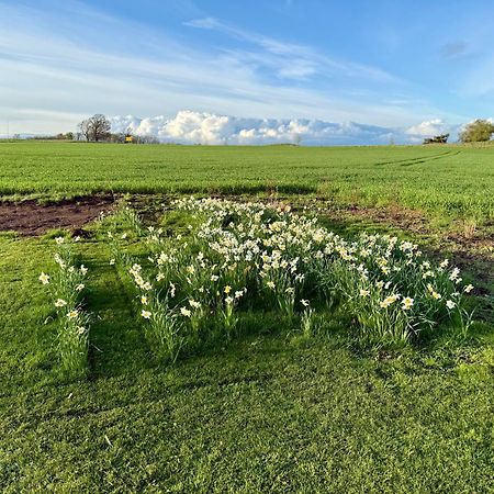 Villa Stora Loenn Falkenberg Esterno foto