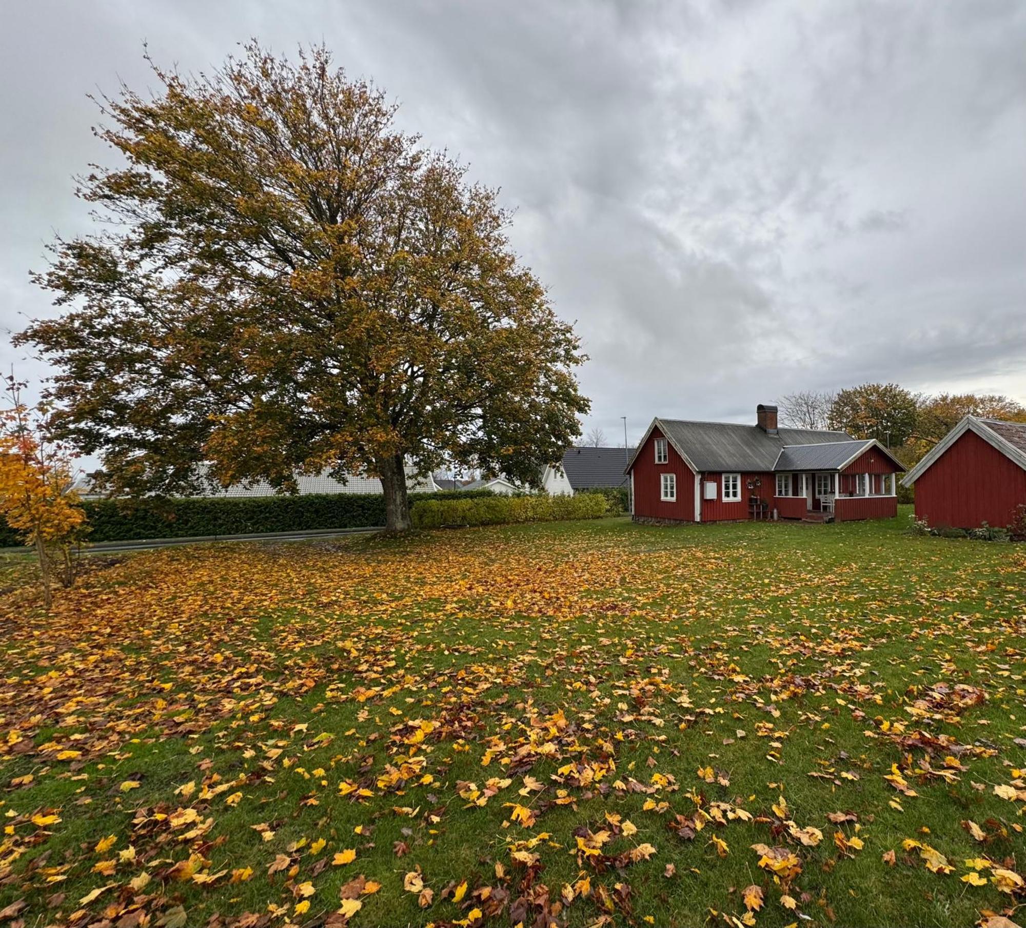 Villa Stora Loenn Falkenberg Esterno foto
