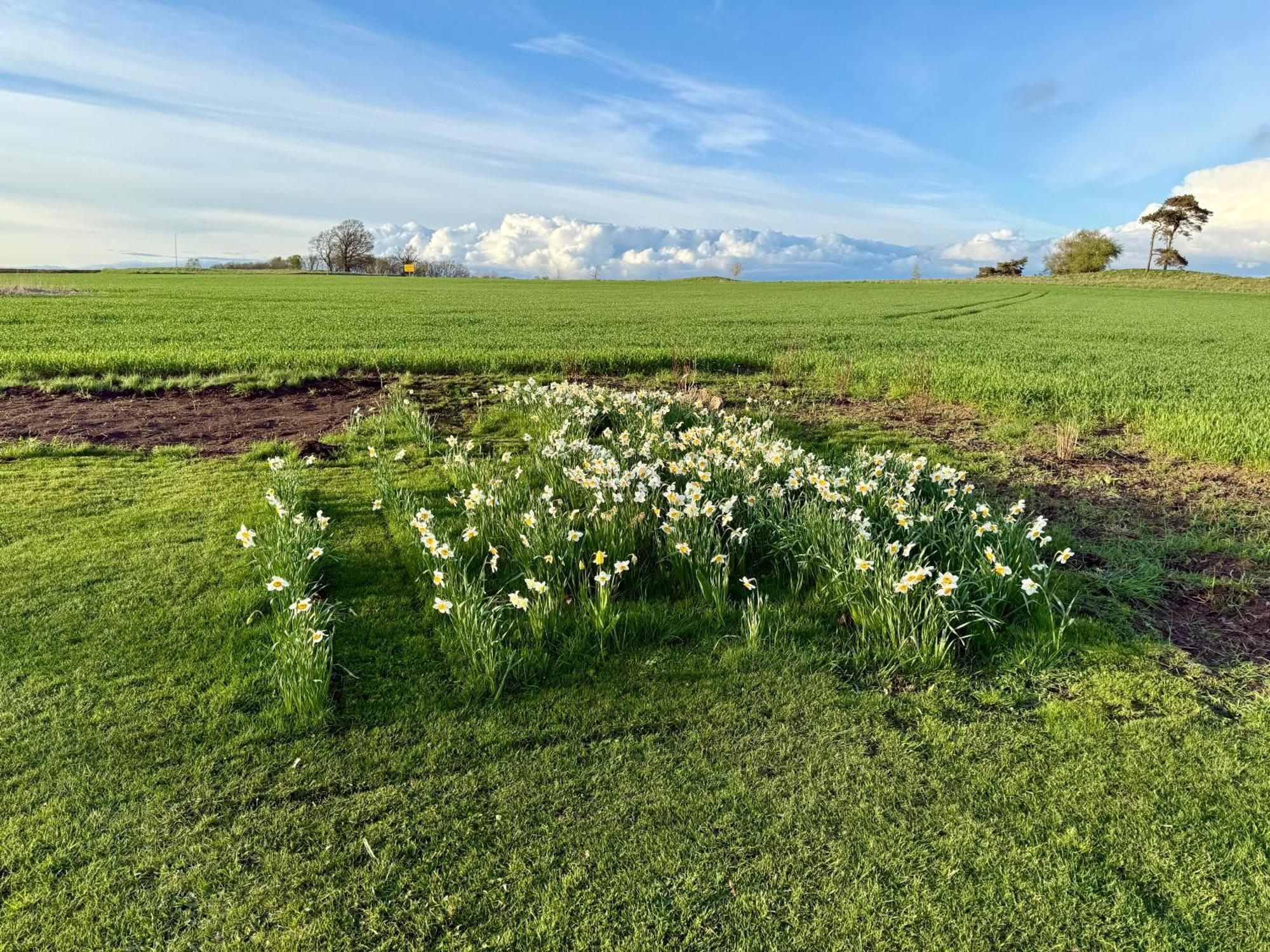 Villa Stora Loenn Falkenberg Esterno foto